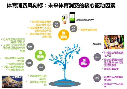 增城 互聯(lián)網(wǎng)體育 增城 互聯(lián)網(wǎng)體育