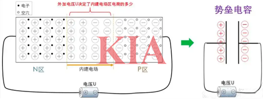 勢(shì)壘電容,擴(kuò)散電容