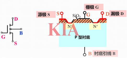 絕緣柵型,結(jié)型場效應(yīng)管